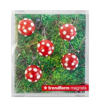Magneten paddestoel (6) - Trendform