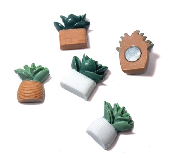 Magneten cactus(5) - Trendform