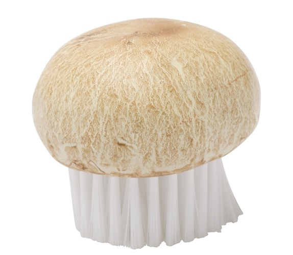Brosse à champignons - Joie
