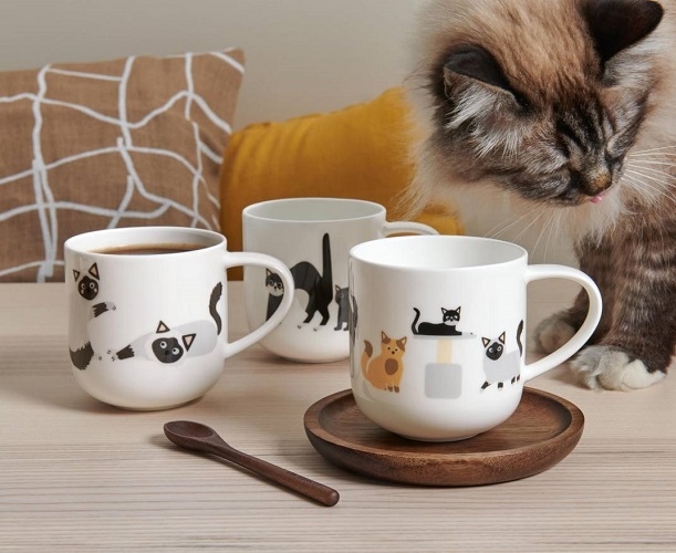 Coppa katten beker - ASA