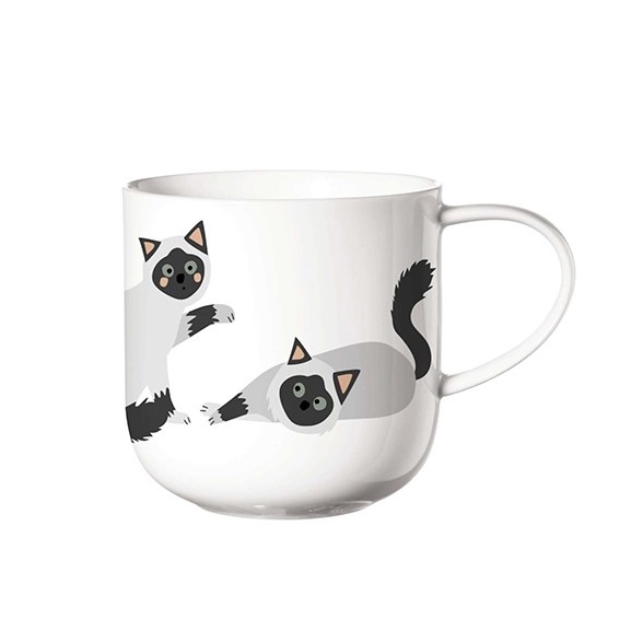 Coppa katten beker - ASA