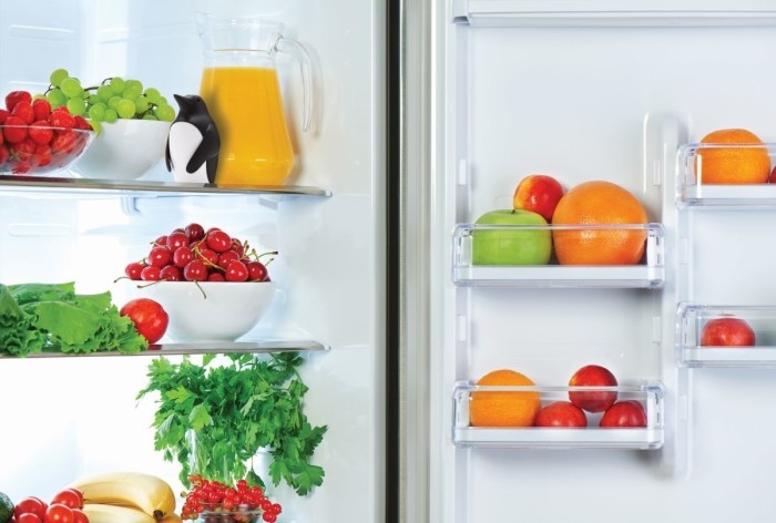 Désodorisant refrigérateur pinguin Chill Bill - Monkey B