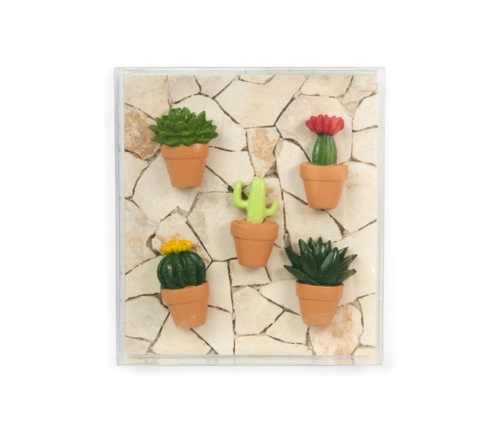 Aimants cactus (5) - Trendform