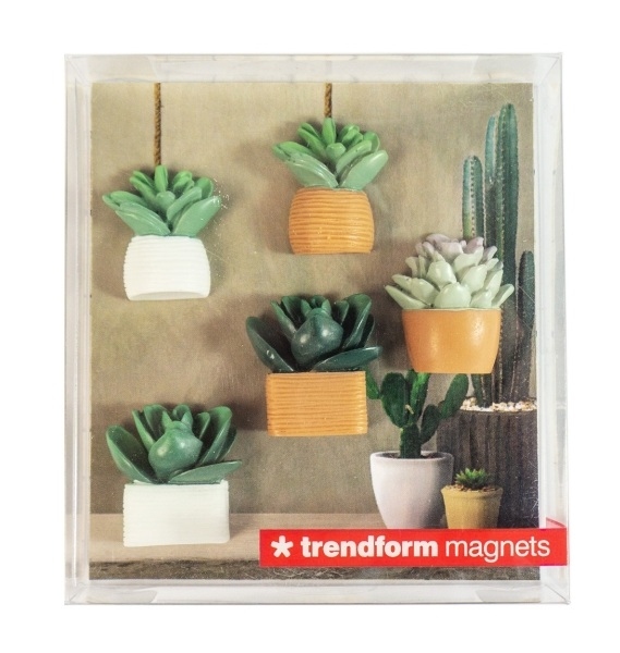 Magneten cactus(5) - Trendform