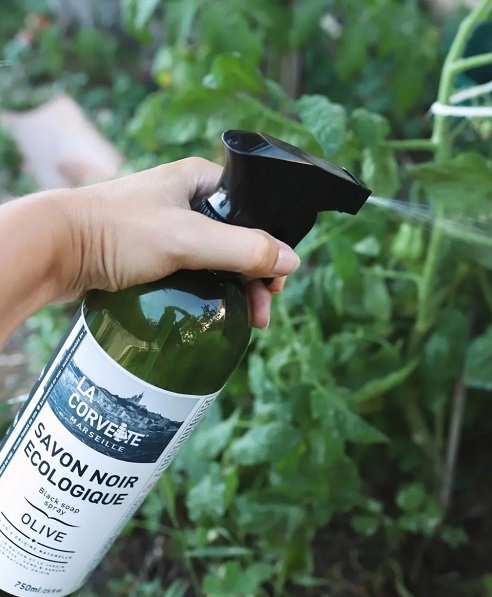 Marseille zeep huis- en tuinspray 750ml - La Corvette